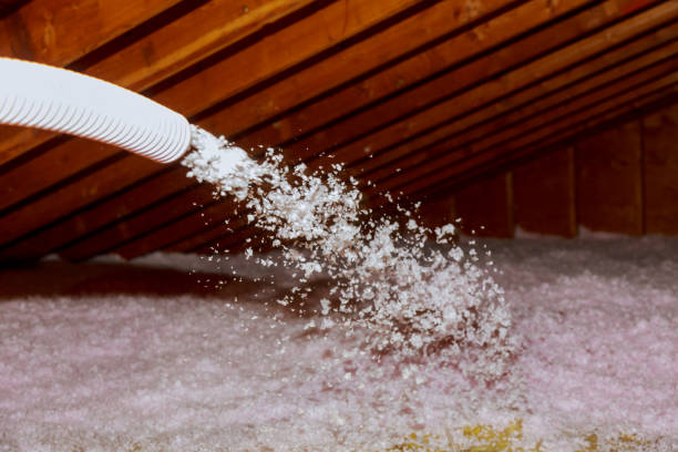 Best Attic Insulation Near Me  in Whitehall, MI