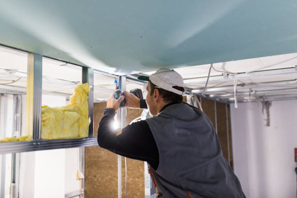 Best Crawl Space Insulation  in Whitehall, MI