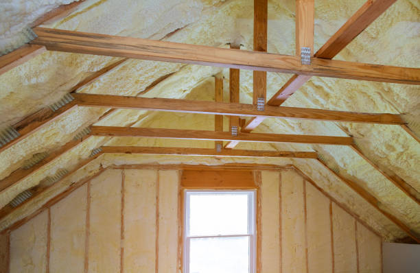 Best Insulation Inspection Services  in Whitehall, MI