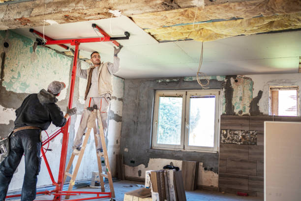 Best Best Insulation Companies  in Whitehall, MI