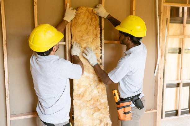 Best Attic Insulation Installation  in Whitehall, MI