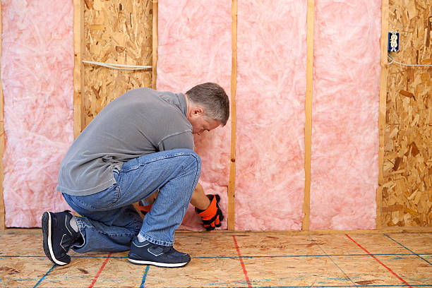 Best Spray Foam Insulation  in Whitehall, MI