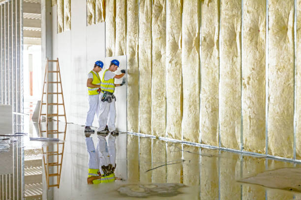 Best Attic Insulation Installation  in Whitehall, MI